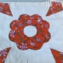 Kites And Orange Rose A